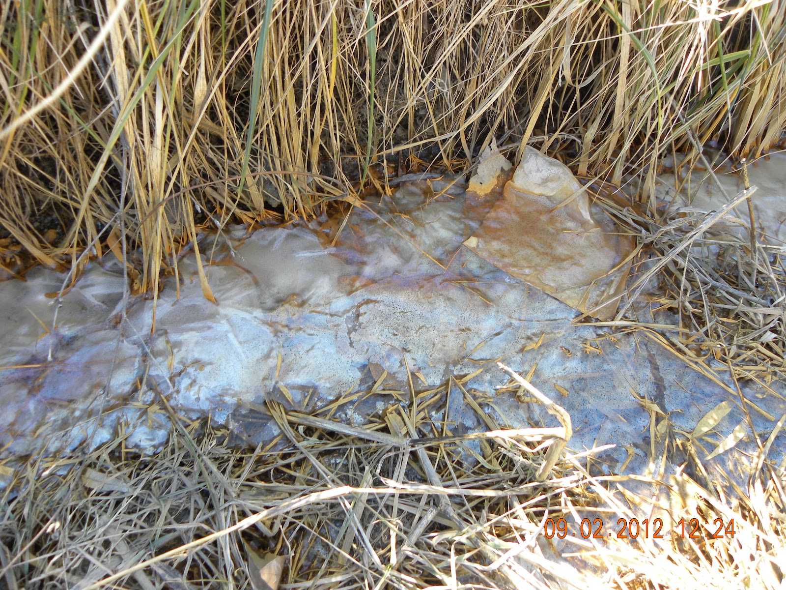 When Is Orange Water Not KOOL AID?