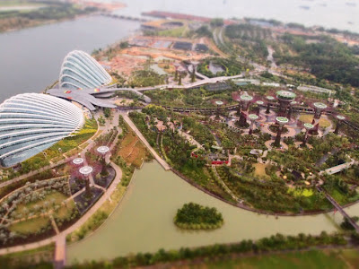 Gardens by the Bay diorama