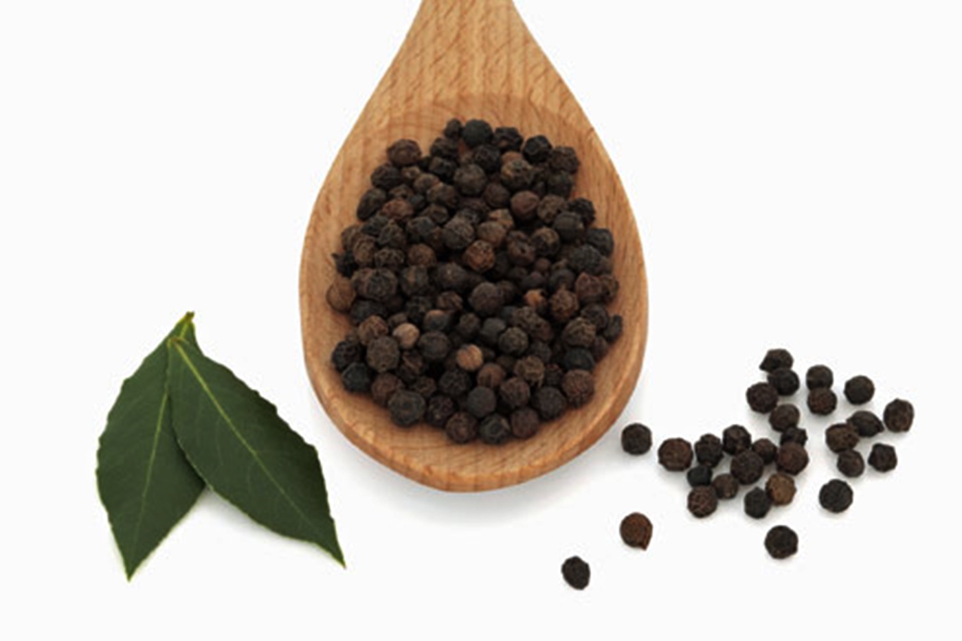 Blog do Edu Ambiental Pimenta do reino Blog do Edu Ambiental Pimenta do reino