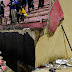 Eight Dead In Senegal Football Stadium Stampede (Photo)