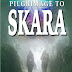 SPFBO 2017 Review: Pilgrimage to Skara by Jonathan S. Pembroke