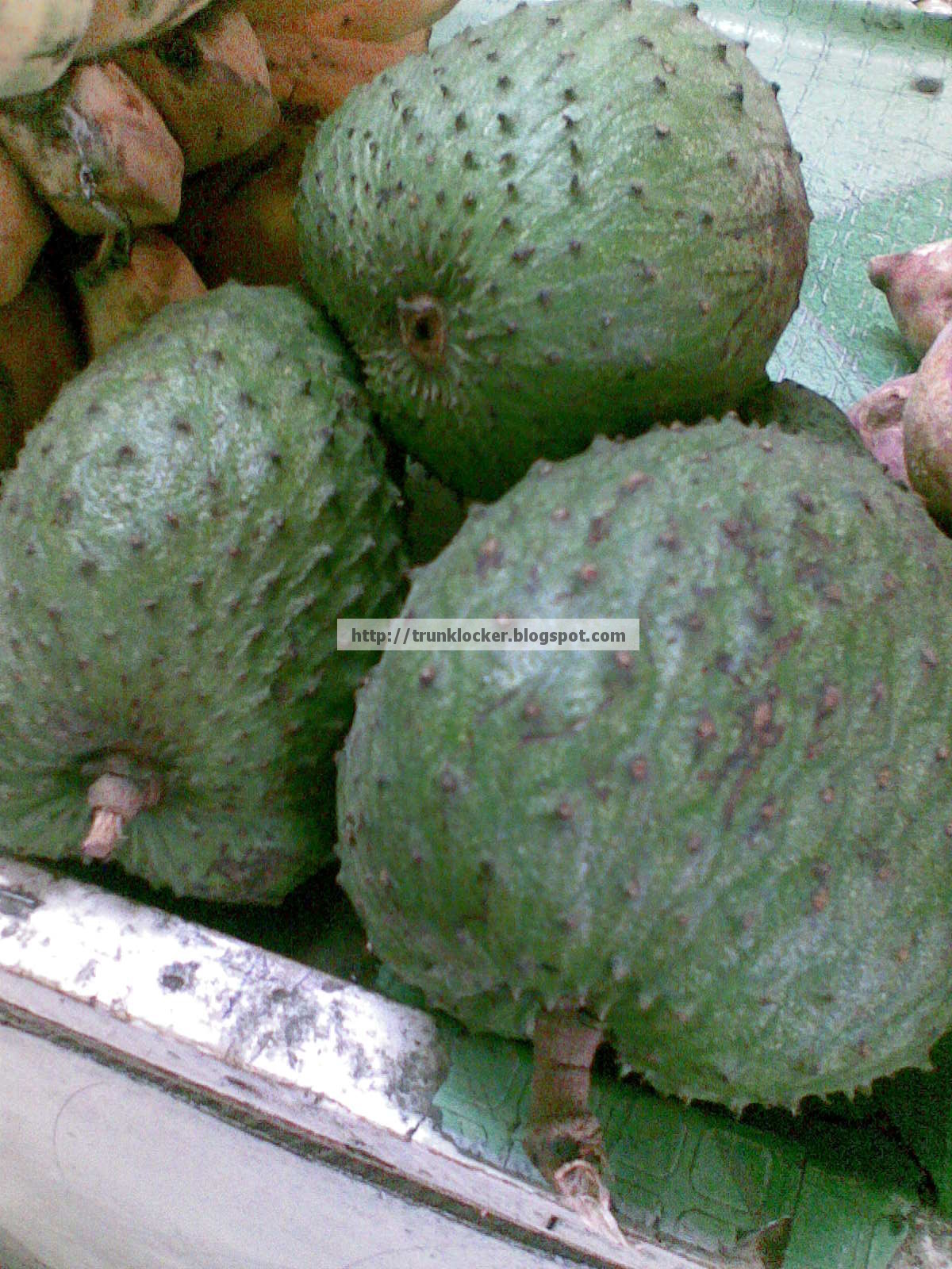 Miracle Fruit Graviola/Guyabano Cure For Cancer? Trunk Locker