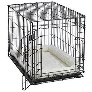 Best and cheap dog bed