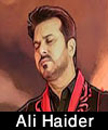 http://www.humaliwalayazadar.com/2012/11/ali-haider-nohay-2009-2013.html