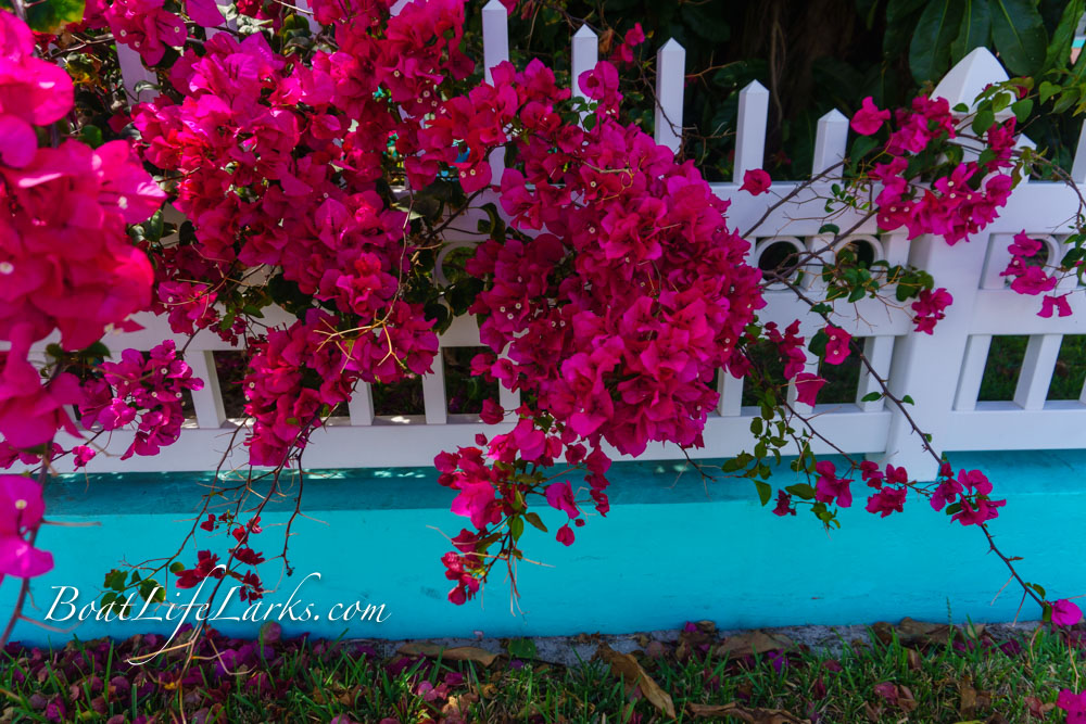 Grocery Shopping Spanish Wells, Eleuthera Boat Life Larks SV Dulcinea