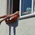 Woman Outrages Her Neighbours By Sunbathing Na ked On Her Window. (Photo)