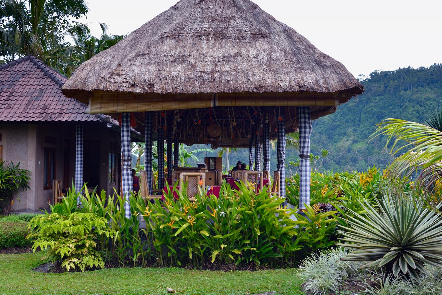 The Amazing Life A Typical Lunch At Countryside In Bali