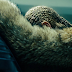 Antes de lançar o misterioso “Lemonade”, Beyoncé coloca “Formation” a venda, mas só no Tidal