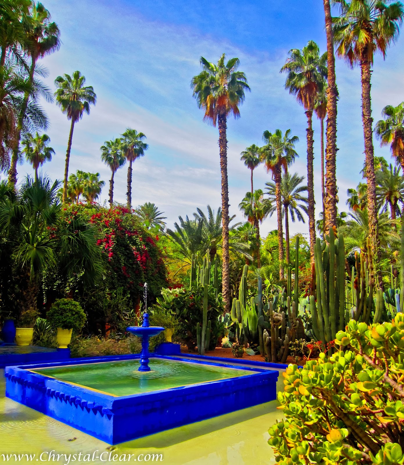 TOP DECOR Jardins Majorelle paradis sur terre