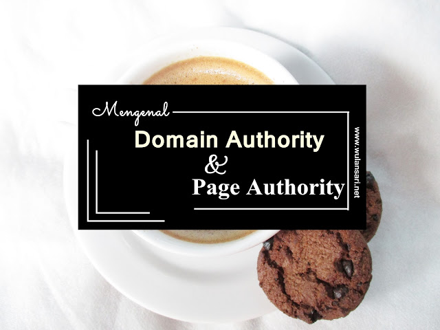 Apa itu Domain Authority dan Page Authority 
