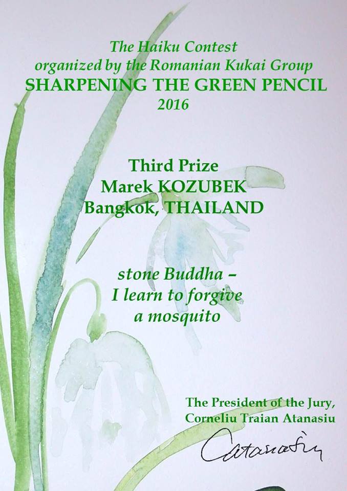 Sharpening The Green Pencil ROMANIA