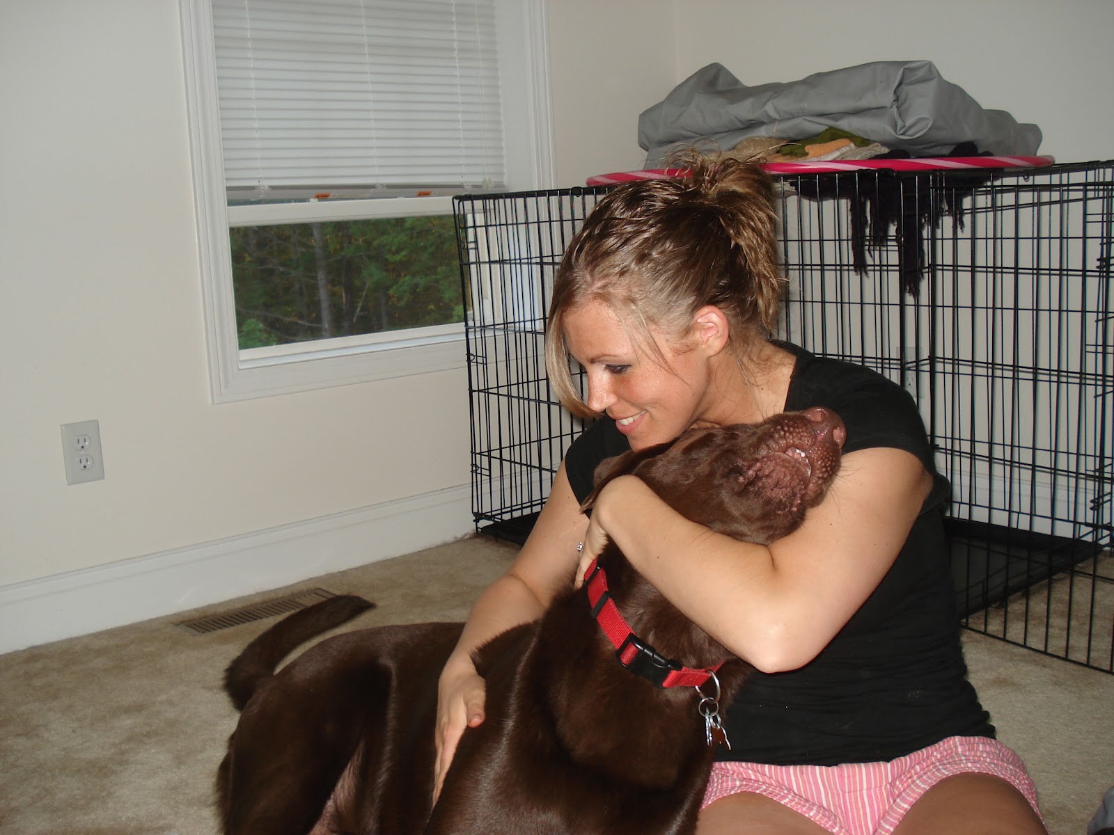And so this is our life...: Adopt-A-Lab in Need...