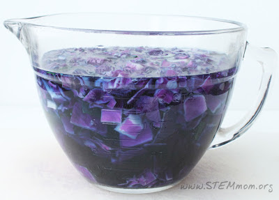 Steep cabbage in boiling water to make pH indicator solution: STEM mom.org