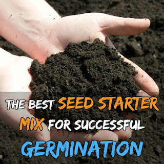 The Best Seed Starter Mix For Successful Germination I used this for the first time last year and will continue to use it in the future for starting all of my flowers and veg. It have great germination success rate.
