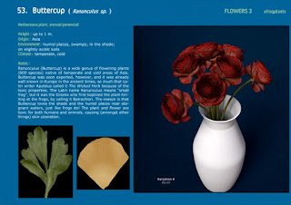3dsMax高精度鮮花植物3D模型下載