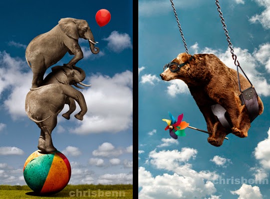 01-Balancing-Elephants-Balloon-Chris-Bennett-Animal-Photographs-of-Surreal-Art-www-designstack-co
