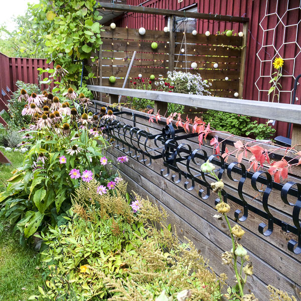 trädgården trädgården