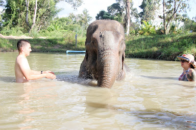 Chiang Mai, Thailand: Maerim Elephant Sanctuary