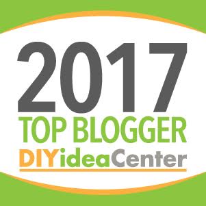 TOP DIY Blogger 2017