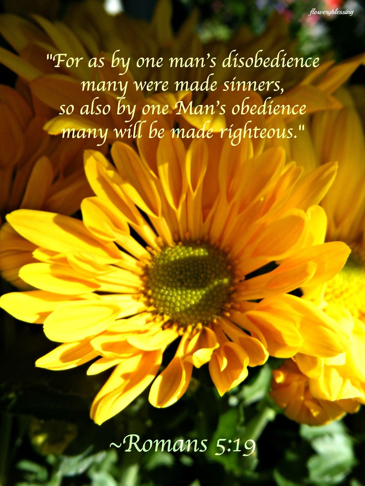 Flowery Blessing: 