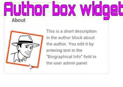 Tổng hợp hộp tác giả-author box widget cho blogspot 