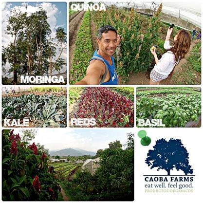Caoba Farms Antigua