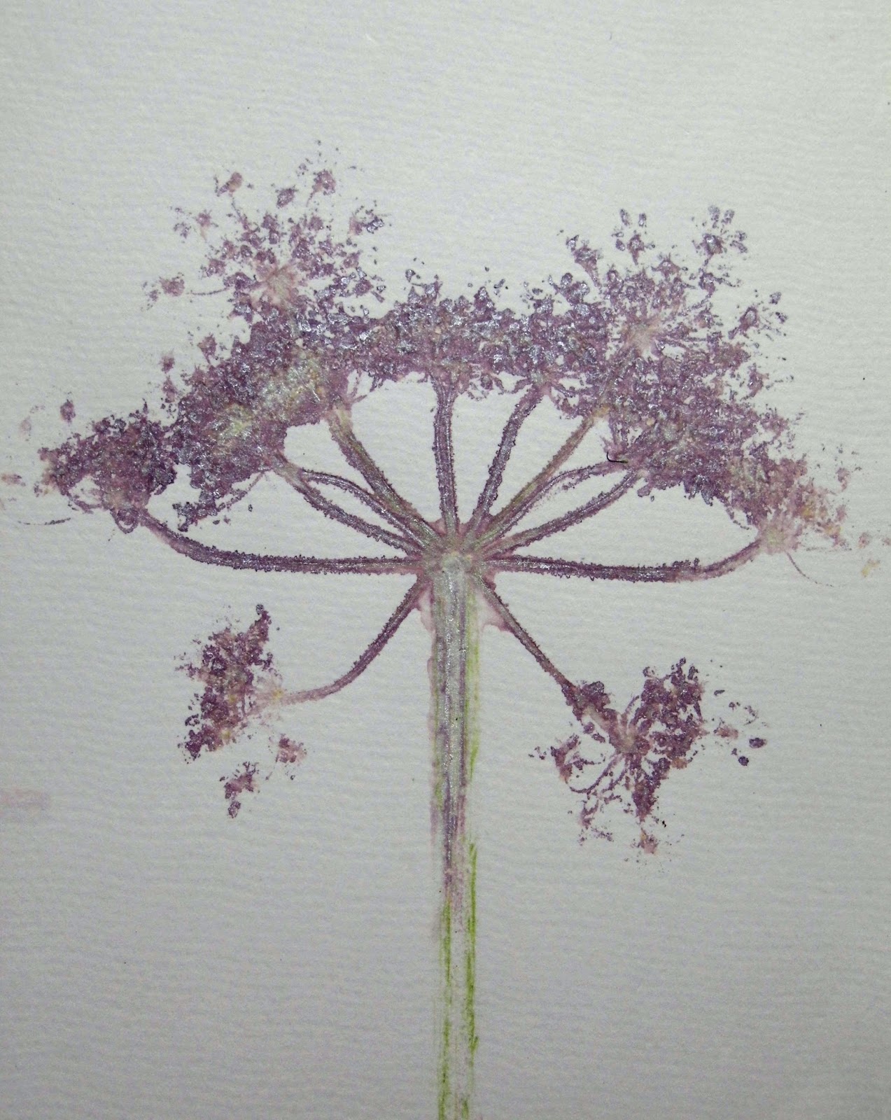 Finula Top Wildflower Print main image 1