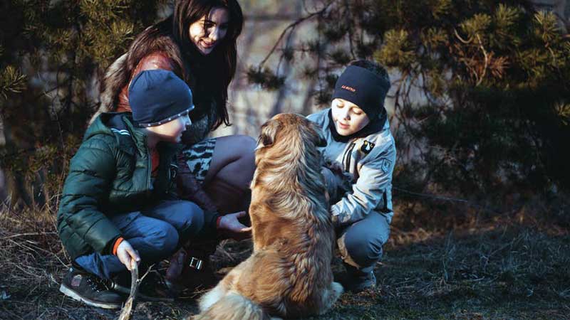 ngobrol dengan anjing ngobrol dengan anjing