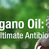 Oregano Oil Is Far More Superior Than Prescription Antibiotics, Without The Side Effects