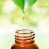 Skin Care Home Tips Episode