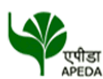 APEDA jobs in http://www.SarkariNaukriBlog.com