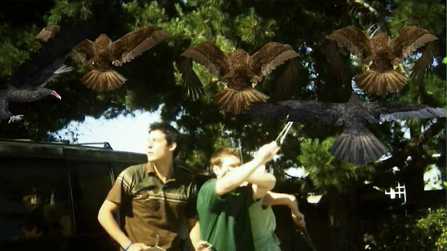 Análise - Birdemic: Shock and Terror