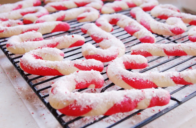 Candy Cane Cookies ~ two colors of almond sugar cookie dough twisted together! A fun & festive Christmas treat.  www.thekitchenismyplayground.com