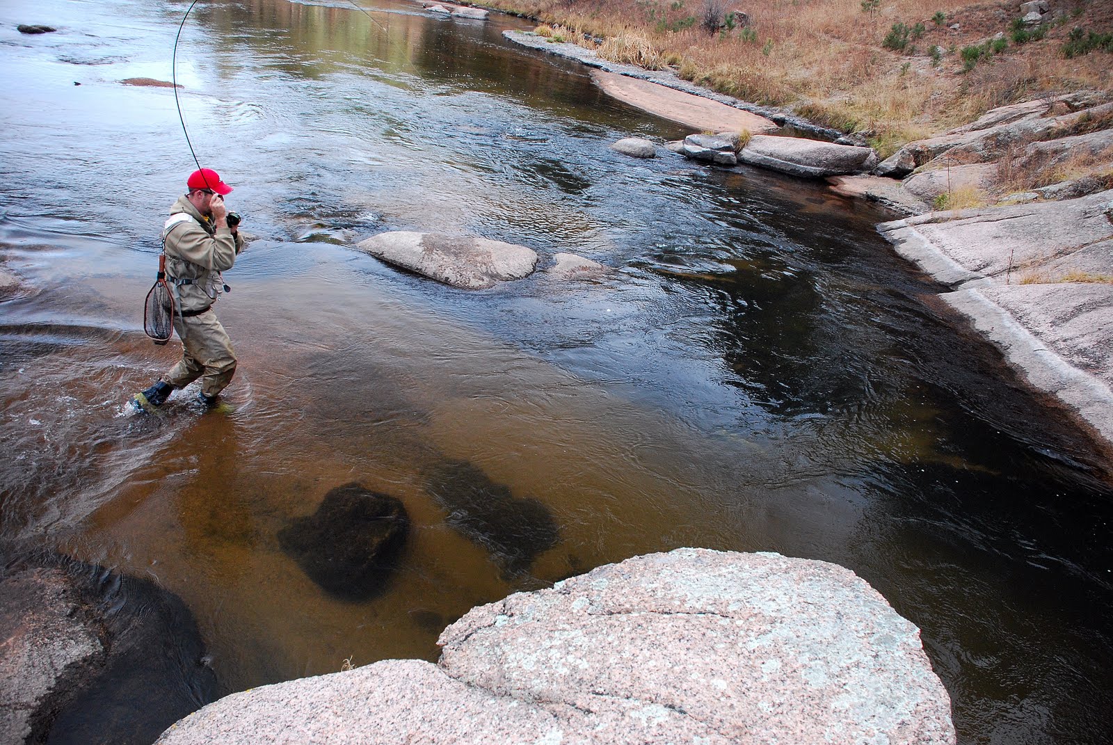 cheesman canyon fishing report
