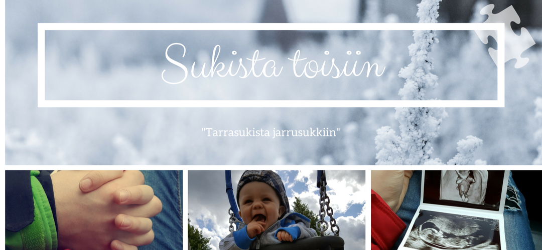 Sukista toisiin