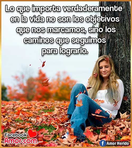 frase vida frase vida