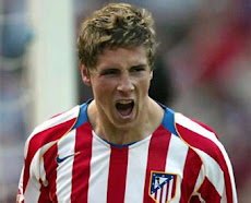 Fernando Torres