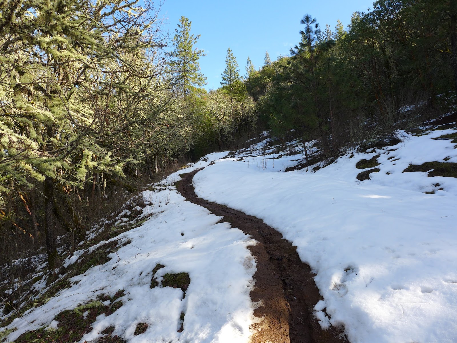 Glenn & Carol's Hiking Adventures Jacksonville Woodland Trails