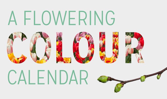 A Flowering Colour Calendar