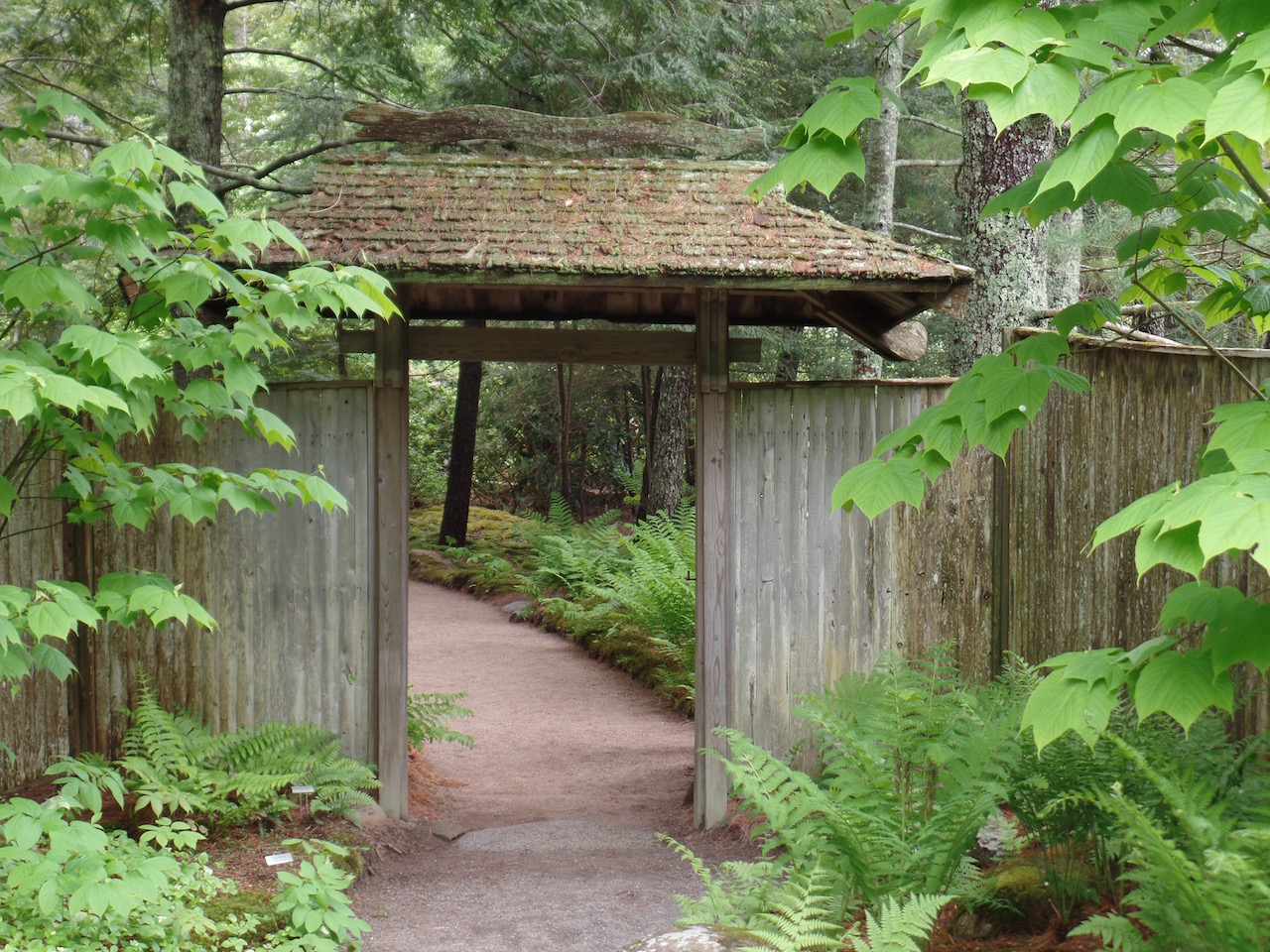 The Baiting Hollow Hummingbird Sanctuary Asticou and Thuya