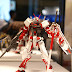 P-Bandai: MG 1/100 Gundam Astray Red Frame