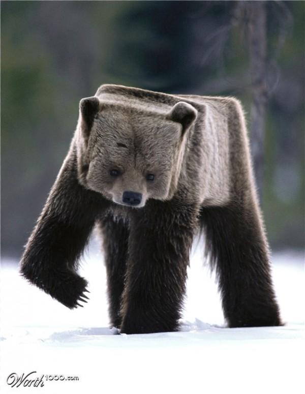 cubic photo manipulation