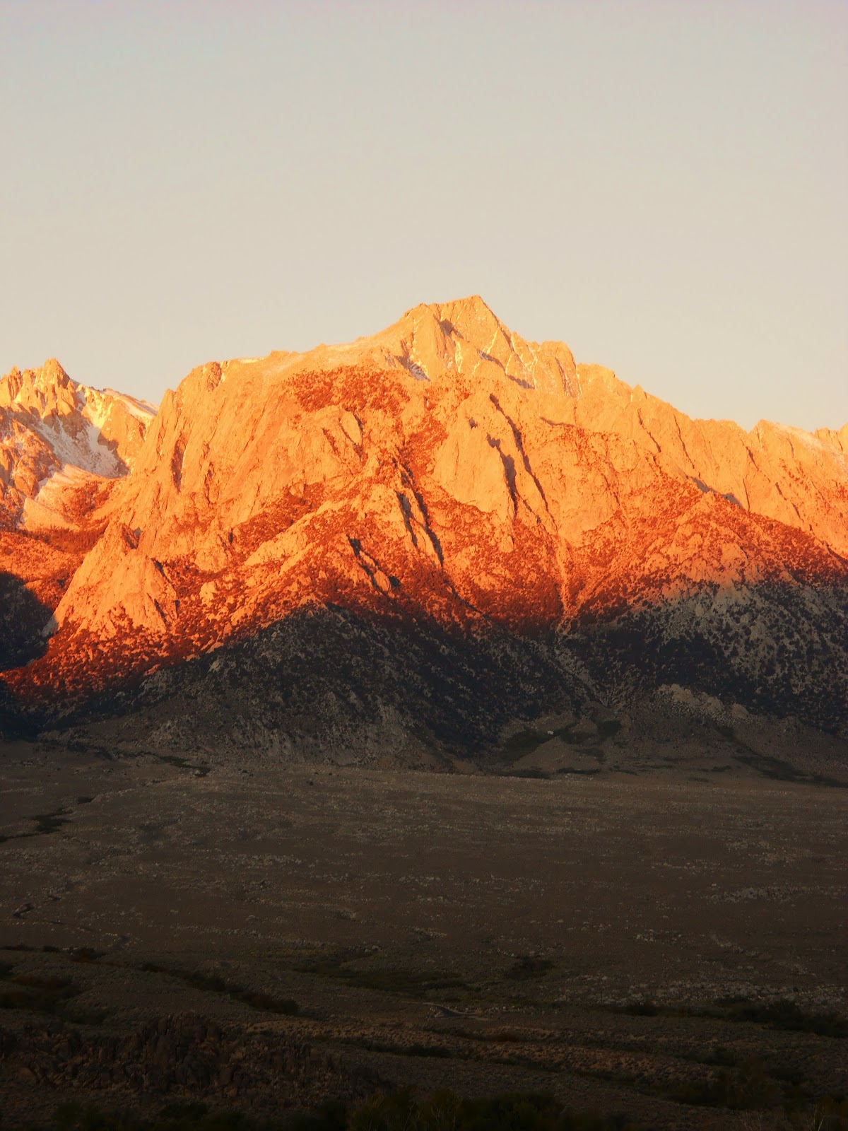 evenfewergoats California 1 Lone Pine