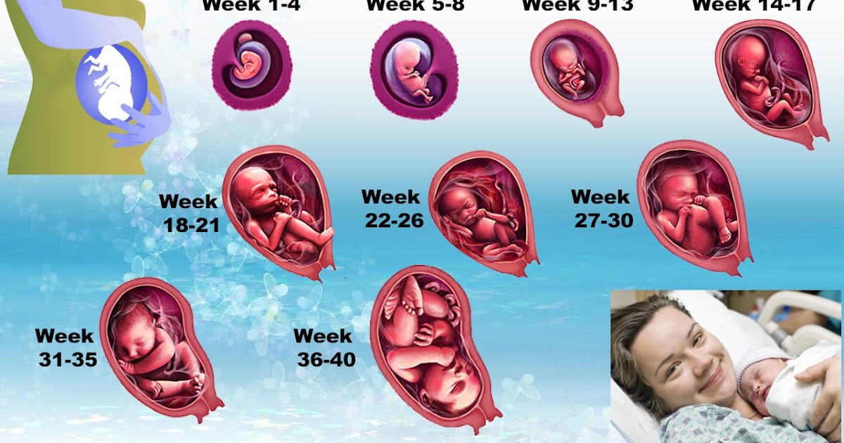 Senang Hamil: Corak Pergerakan Bayi Dalam Kandungan Dari Minggu 20