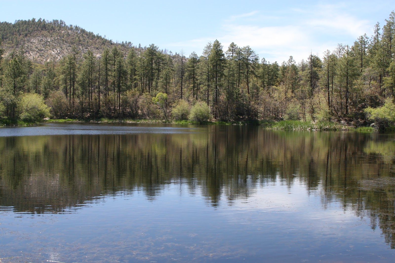 Darren's Rides Crown King Arizona