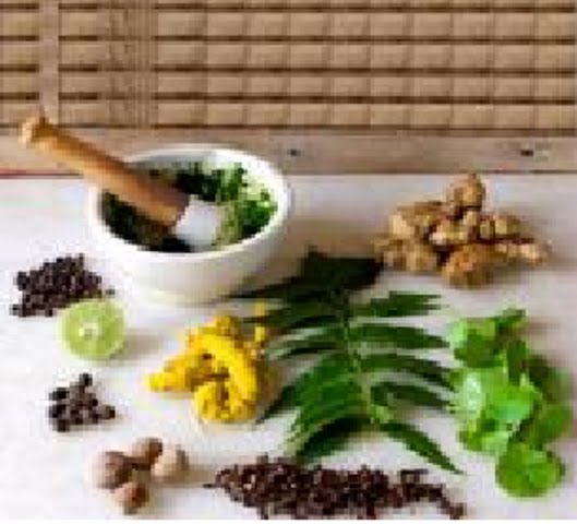 Herba & Tumbuhan Perubatan Tradisional India