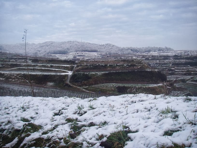 Wanderungen durch die Natur: Frohe Weihnachten