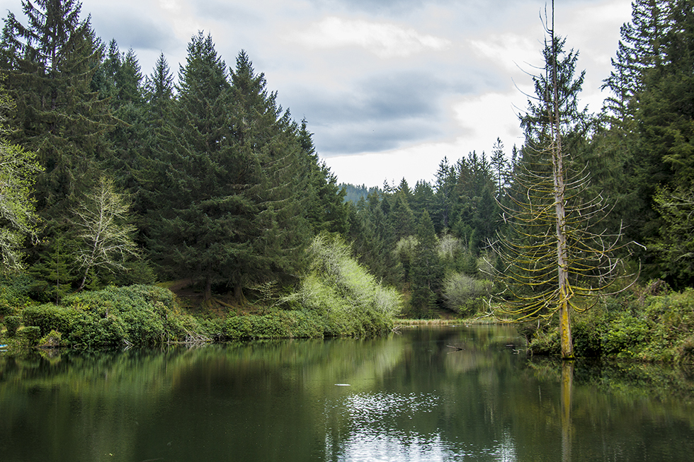 Photographing Oregon Waldport