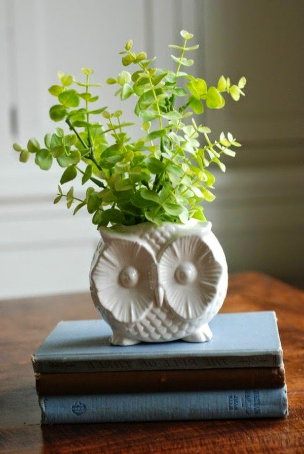 Creative ideas for flower pots in your garden!