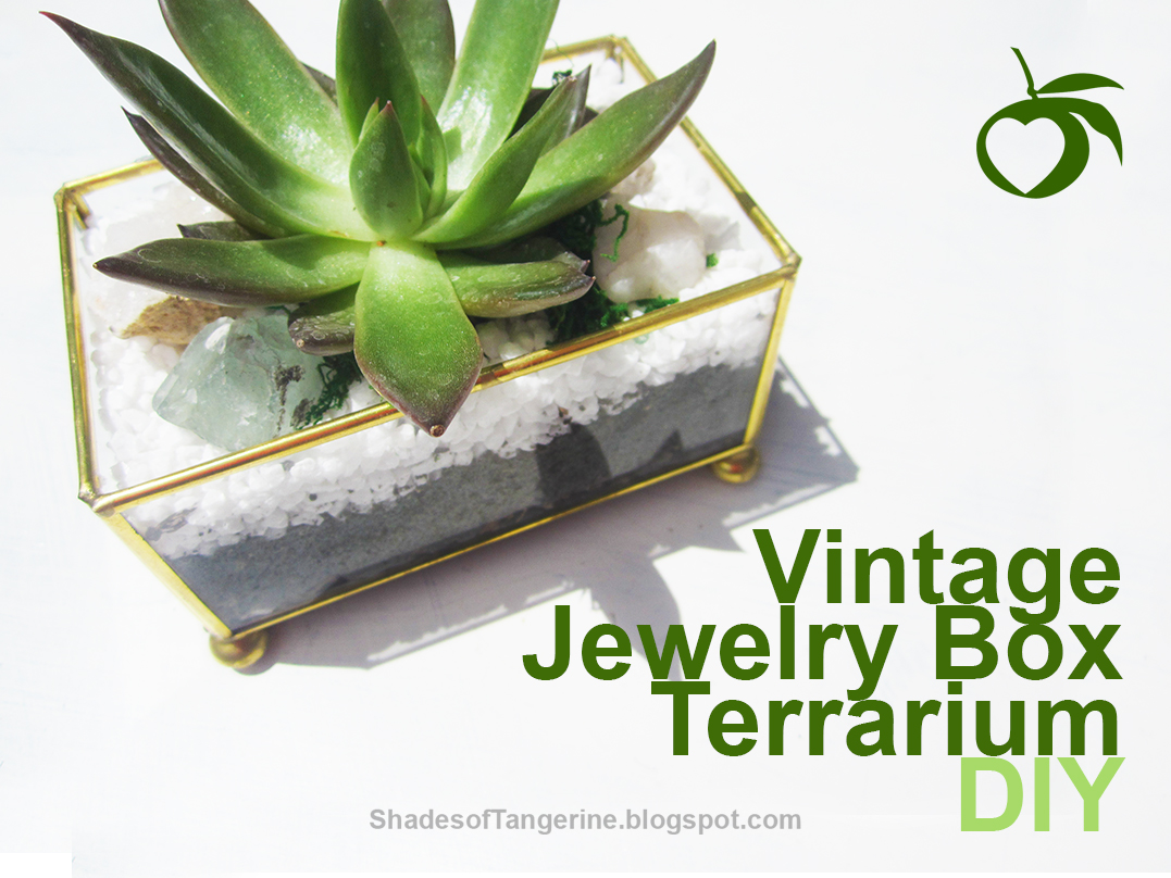 Shades Of Tangerine Vintage Jewelry Box Terrarium DIY
